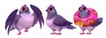 Wild pigeon cartoon character in different poses. Royalty Free Stock Photo