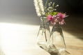 Wild pink flower in glass science flask on nature wood floor natural product science research background Royalty Free Stock Photo