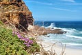 Wild pink flowers next to misty beach