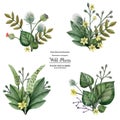 Wild plants and grass hand painted boutonniere, watercolor set Royalty Free Stock Photo