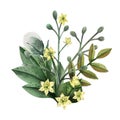 Wild plants and grass hand painted watercolor boutonniere Royalty Free Stock Photo