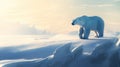 Alone polar bear walking across a vast, snow-covered plain