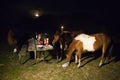 Wild ponies in Assateague Park eating the food of campers Royalty Free Stock Photo