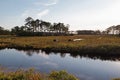 Wild ponies in marshlands of Chincoteague National Wildlife refuge in the late afternoon sun. Royalty Free Stock Photo