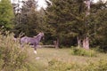 A wild pony at Grayson Highlands State Park, Mouth of Wilson, Virginia Royalty Free Stock Photo