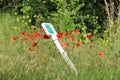 Wild poppies and daisies and other wild flowers along reoadside in the Netherlands