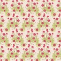 Wild poppy pattern