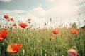 Wild poppy summer flowers. Generate Ai