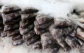 Wild Porgies on ice at fish market