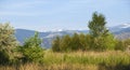 Wild Prairie Scene with Distant Mountains