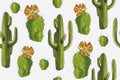 Watercolor desert set `Cacti pattern` white background