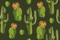 Watercolor desert set `Cacti pattern` green background