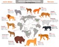 Wild predators, their habitat, growth, weight and longevity color infographics