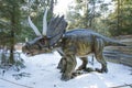 Wild prehistoric animals. Triceratops and dinosaurs