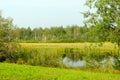 Wild pristine lake in the depths of the Northern taiga of Yakutia in the forest