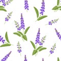 Wild purple flowers seamless pattern. Branches of flowering sage