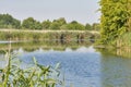 Wild quiet reed river landscape