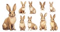 Wild rabbits set. Isolated hare, rabbit cartoon characters. Forest animals, easter festive symbol. Vector bunnies