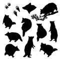 Wild raccoon black and white vector silhouette set