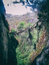 Wild rainforest on the Andes mountains. Peru, South America. Royalty Free Stock Photo