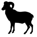 Wild ram black silhouette vector Royalty Free Stock Photo