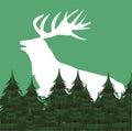 Wild reindeer animal silhouette with forest scene