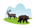 Wild reindeer and bear animals