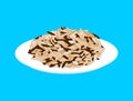 Wild rice cereal in plate isolated. Healthy food for breakfast.