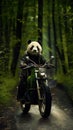 Wild Ride: Crazy Panda Takes the Wheel of a Bike Royalty Free Stock Photo