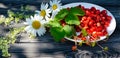 Wild ripe strawberries on a wooden rustic table with withe flowers. Bright shadows on a Sunny day on the terrace. Royalty Free Stock Photo