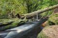 Wild river in the canyon Finnich Glenn