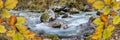 wild river with clear water in beautiful canyon.