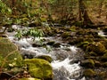 Wild river flowing through the Smokeys, TN Royalty Free Stock Photo