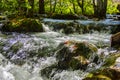 Landscape in Plitvice Jerzera park, Croatia