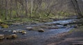 The wild river, spring season Royalty Free Stock Photo