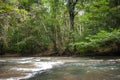 Wild river in Tropical rain forest with green trees Royalty Free Stock Photo