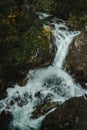 Wild river waterfall in mountain forest Royalty Free Stock Photo