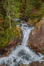 Wild river waterfall in mountain forest Royalty Free Stock Photo