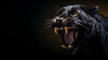 Wild roaring black panther showing fangs wide background with copy space Royalty Free Stock Photo