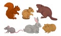 Wild Rodent Animals Set, Squirrel, Mouse, Beaver, Cavy, Rabbit, Chipmunk Vector Illustration