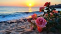 wild rose bush on beach ,bee fly ,dew drops ,sunlight beam flares Royalty Free Stock Photo