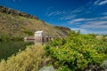 Wild rose bush and Boise River Diversion Dam with clouds in the sky and reflection Royalty Free Stock Photo