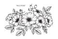 Wild rose flower drawing and sketch. Royalty Free Stock Photo