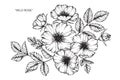 Wild rose flower drawing and sketch. Royalty Free Stock Photo