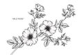 Wild rose flower drawing and sketch. Royalty Free Stock Photo