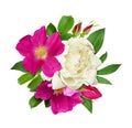 Wild rose flowers and buds arrangement Royalty Free Stock Photo