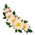 Wild rose flowers wave arrangement