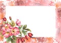 Watercolor wild rose hip with berries buds, flowers leaves Dogrose banner frame painted Illustration Royalty Free Stock Photo