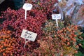 Wild rose hips on a farmers market Royalty Free Stock Photo