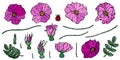 Wild Rose Pink Flower. Dog Rose, Briar Leaf. Botanical Painting. Realistic Hand Drawn Illustration. Savoyar Doodle Style.
